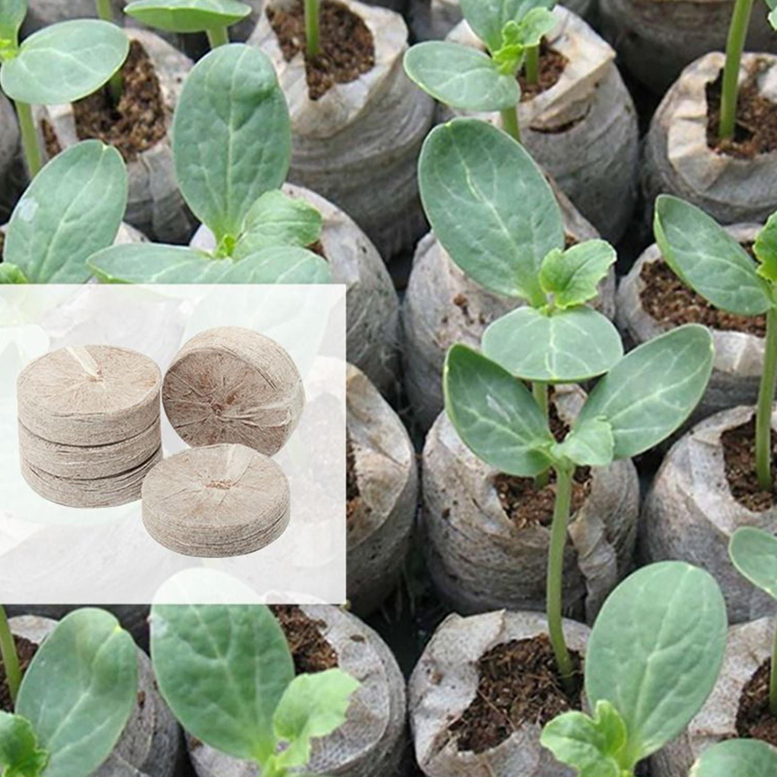 100 Stück Pflanzmischungs-Tray – Peat Pellet Tray Bewertung und Preis