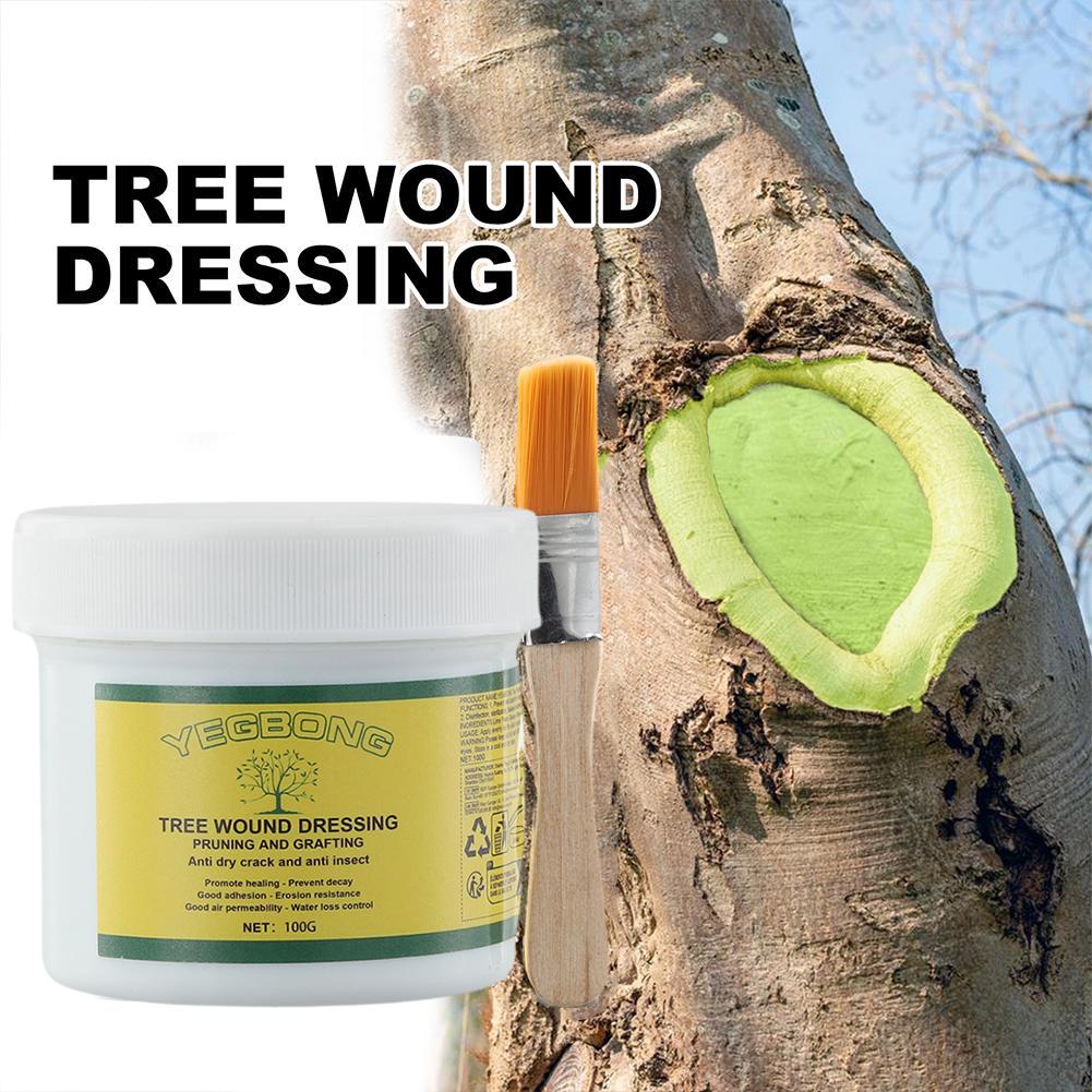 100g Baum Pfropfen Paste Baum  – Rooting Hormone Powder Bewertung und Preis