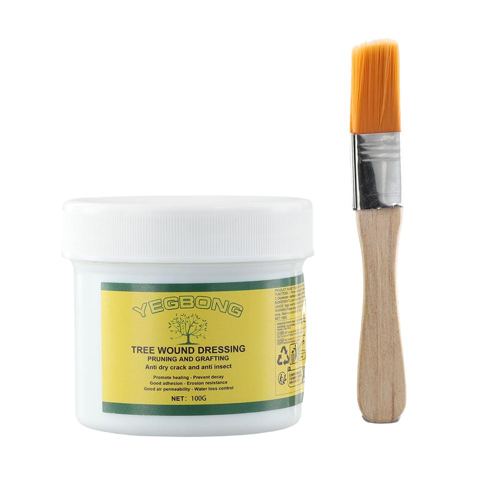 100g Baum Pfropfen Paste Baum  – Rooting Hormone Powder Bewertung und Preis