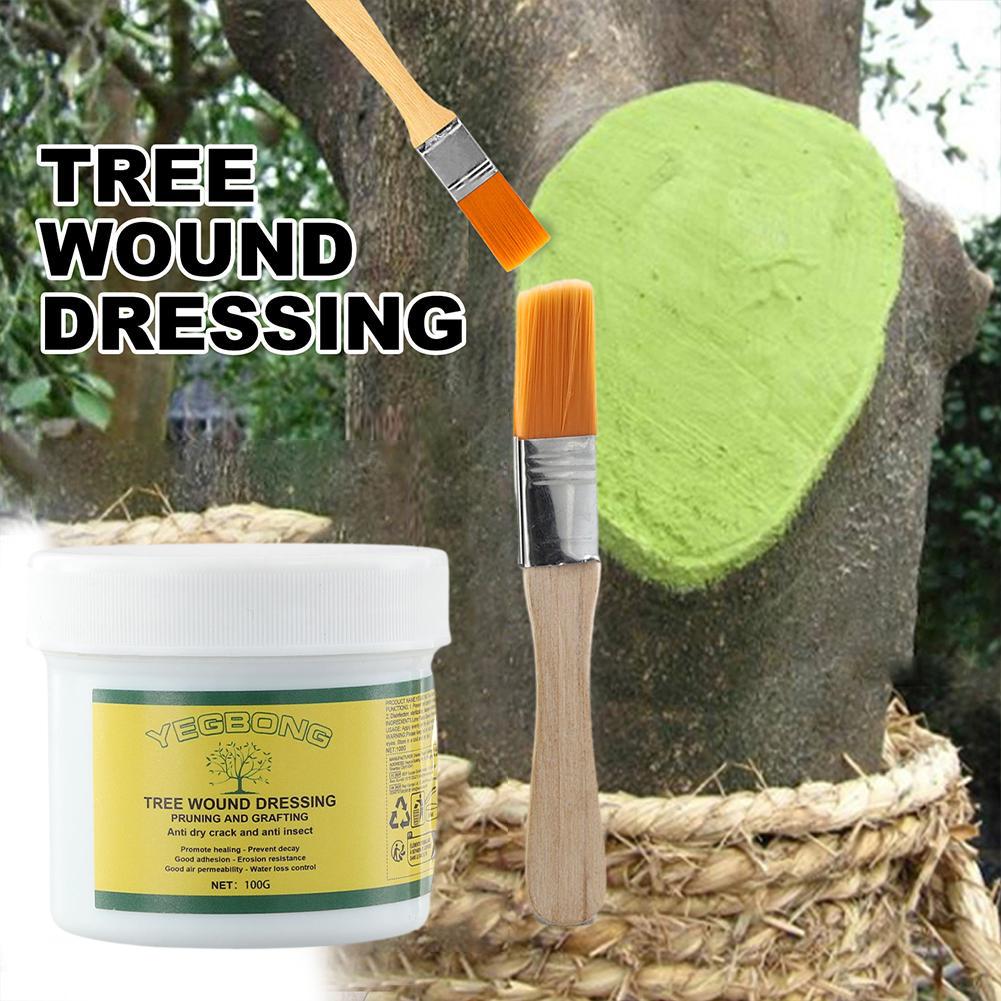 100g Baum Pfropfen Paste Baum  – Rooting Hormone Powder Bewertung und Preis