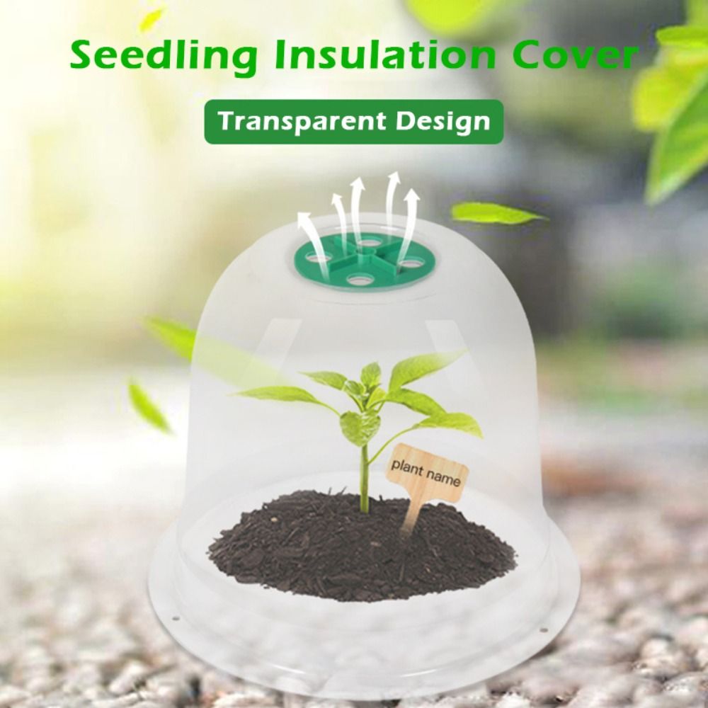 Wiederverwendbare Transparente – Plastic Dome Clear Bewertung und Preis