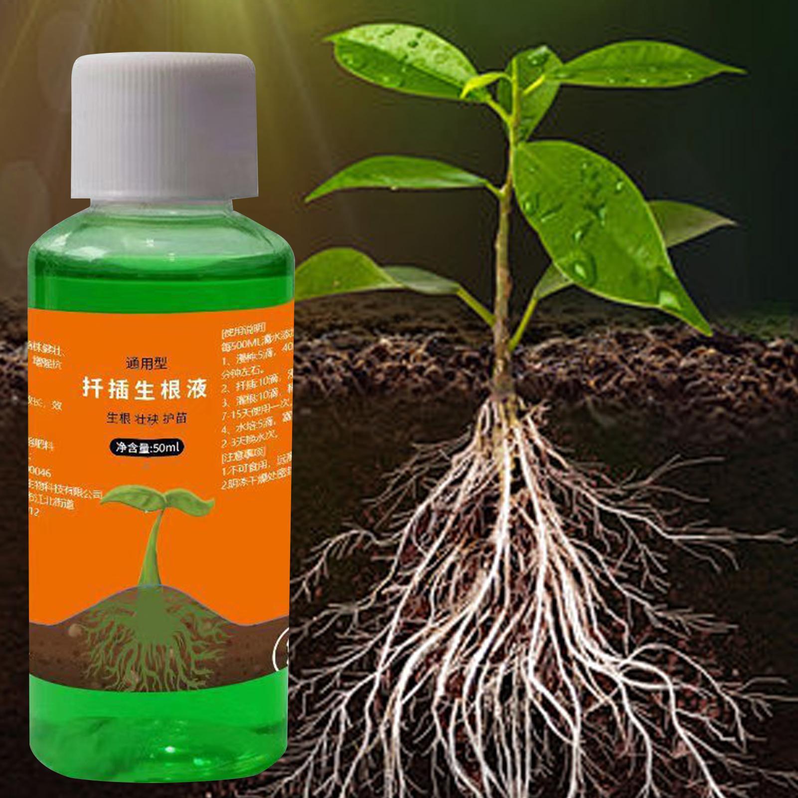Hocheffizienter Wurzelstimulat – Root Stimulator Liquid Bewertung und Preis