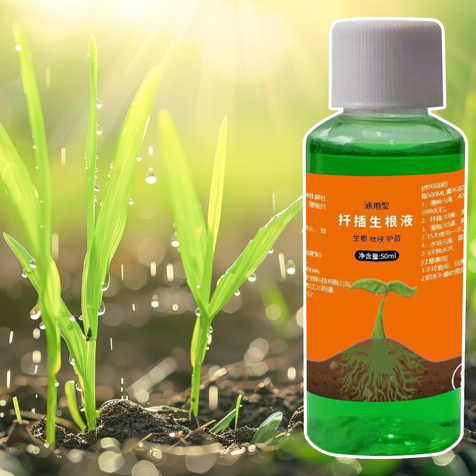 Hocheffizienter Wurzelstimulat – Root Stimulator Liquid Bewertung und Preis
