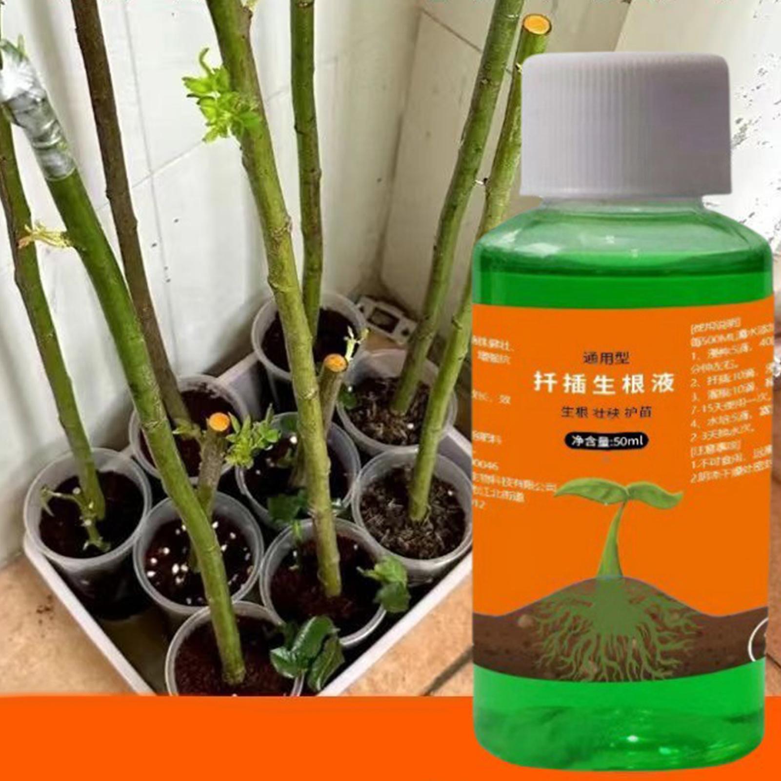 Hocheffizienter Wurzelstimulat – Root Stimulator Liquid Bewertung und Preis