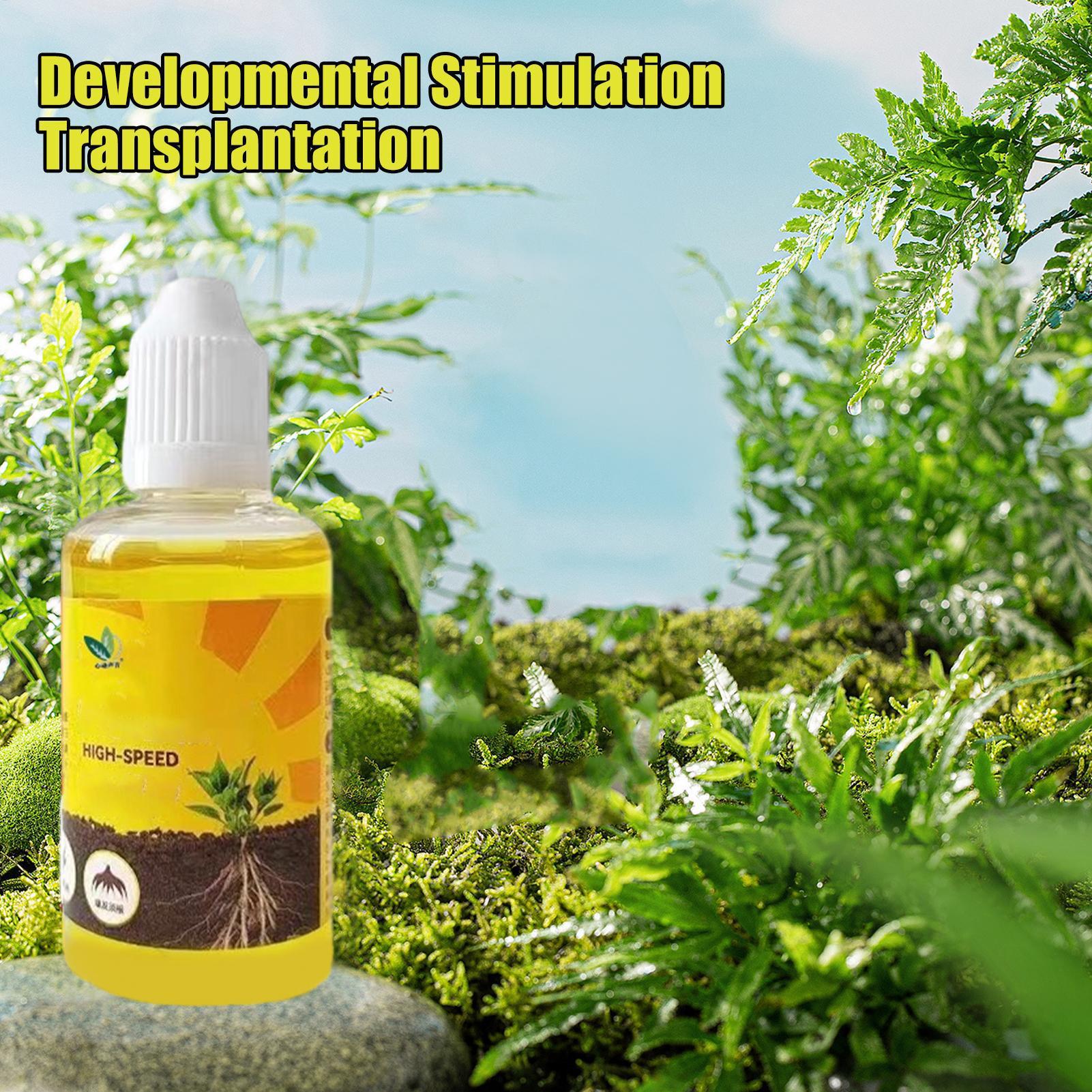 Pflanzenauferstehung Flüssigke – Root Stimulator Liquid Bewertung und Preis