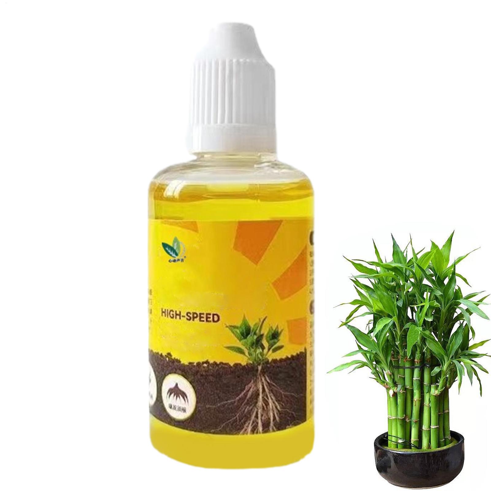 Pflanzenauferstehung Flüssigke – Root Stimulator Liquid Bewertung und Preis