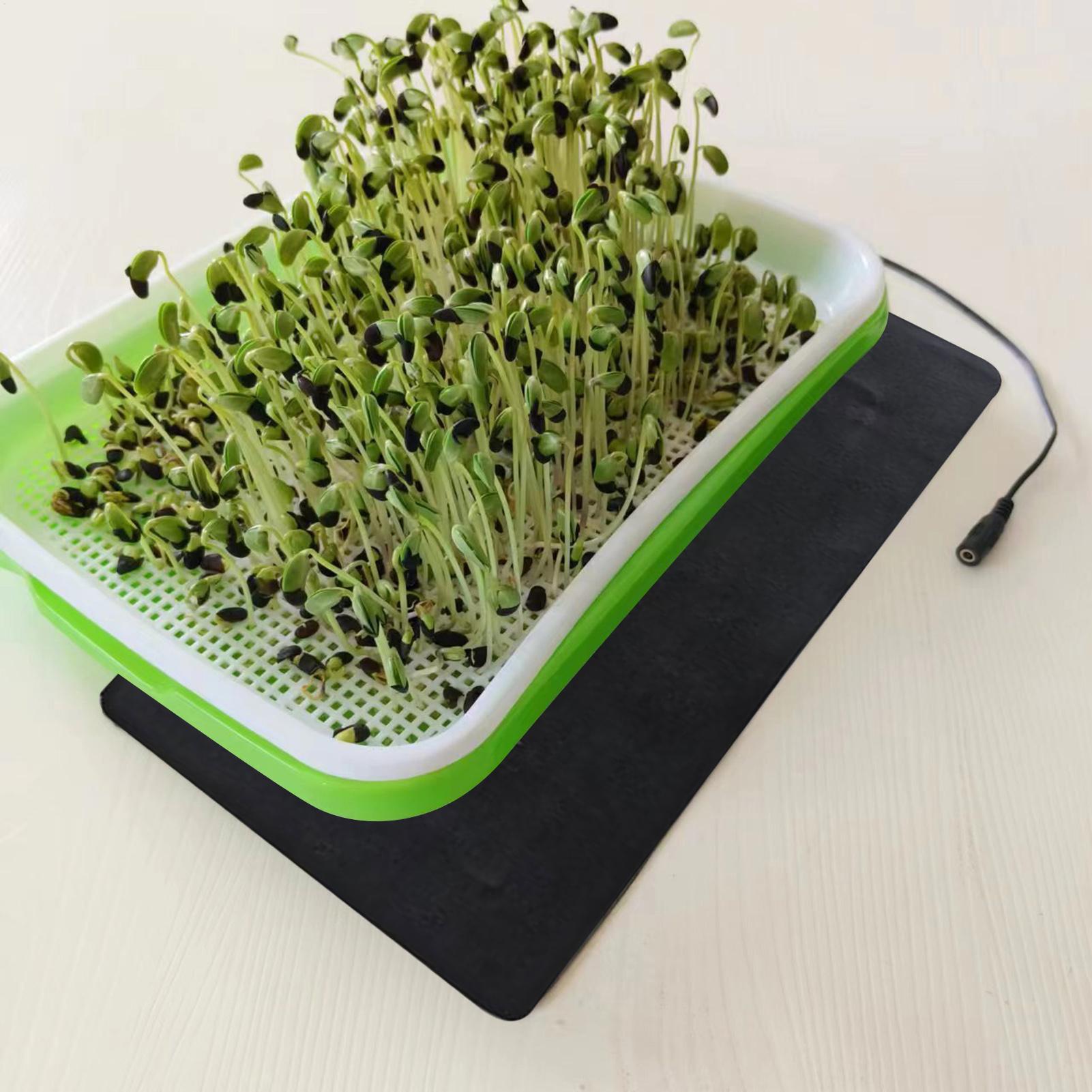 8,5W Sämling-Heizmatte 5V 2A P – Heat Mat Seedling Bewertung und Preis