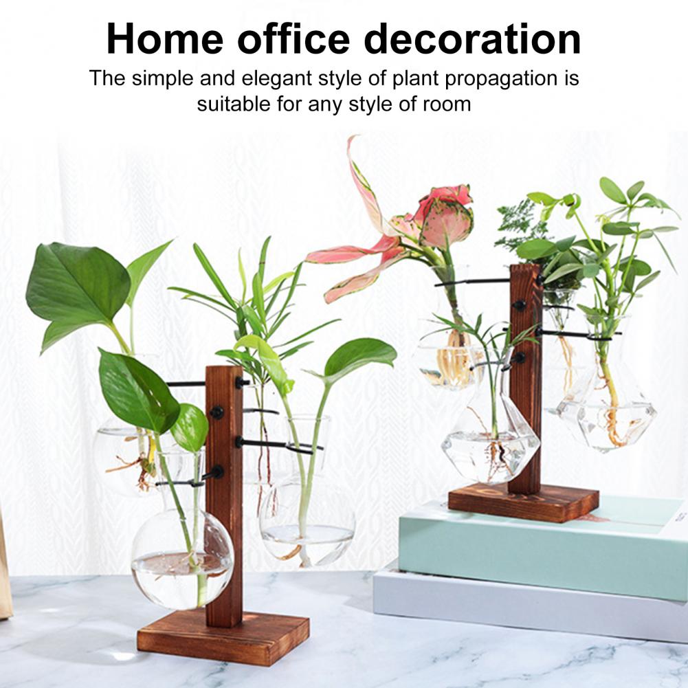 1 Set 10 * 25 cm Pflanzen Verm – Propagation Station Vase Bewertung und Preis