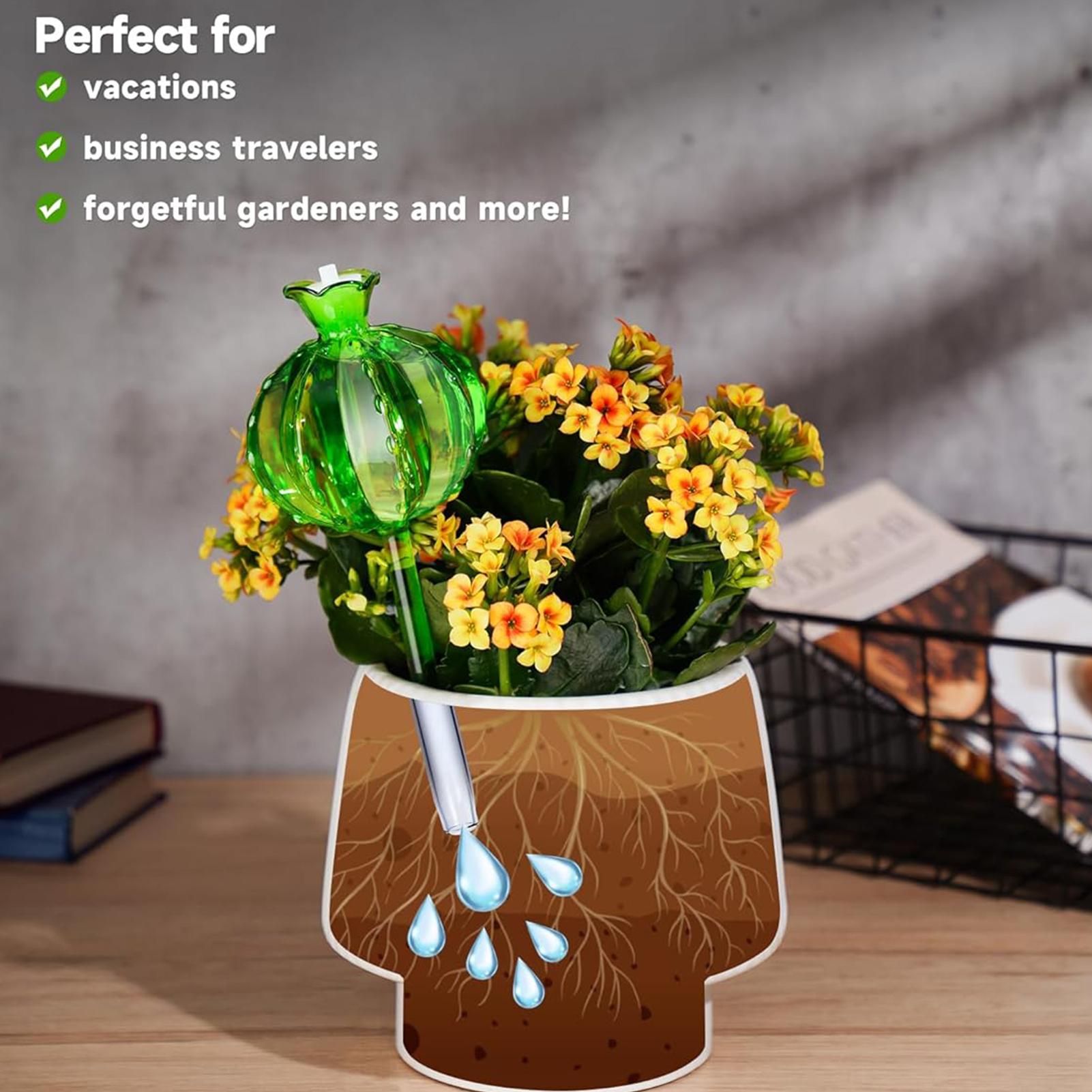 Pflanzenbewässerungsstäbe, 3 S – Self Watering Insert Bewertung und Preis