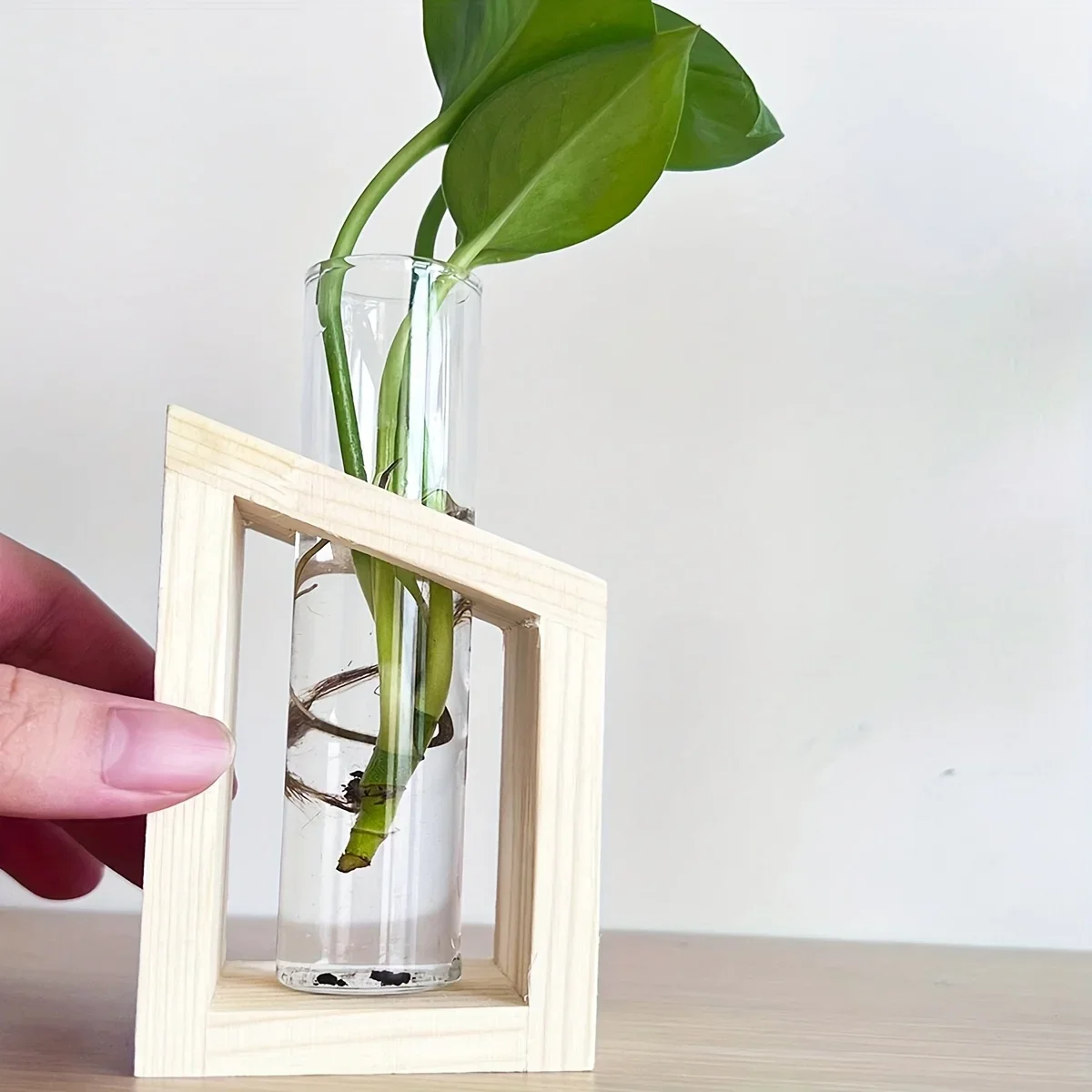Reagenzglas-Glasvase, Pflanzen – Propagation Station Vase Bewertung und Preis