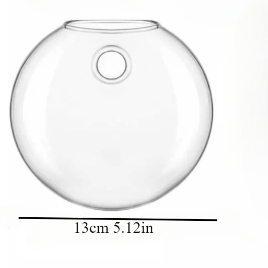 Wandbehang Glas Pflanze Terrar – Propagation Station Vase Bewertung und Preis