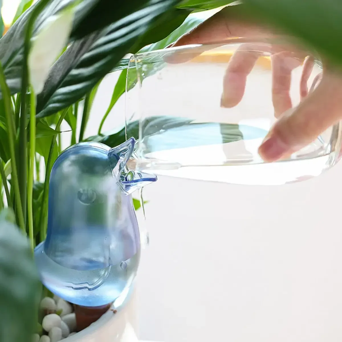 Hochwertiger automatischer Blu – Self Watering Insert Bewertung und Preis