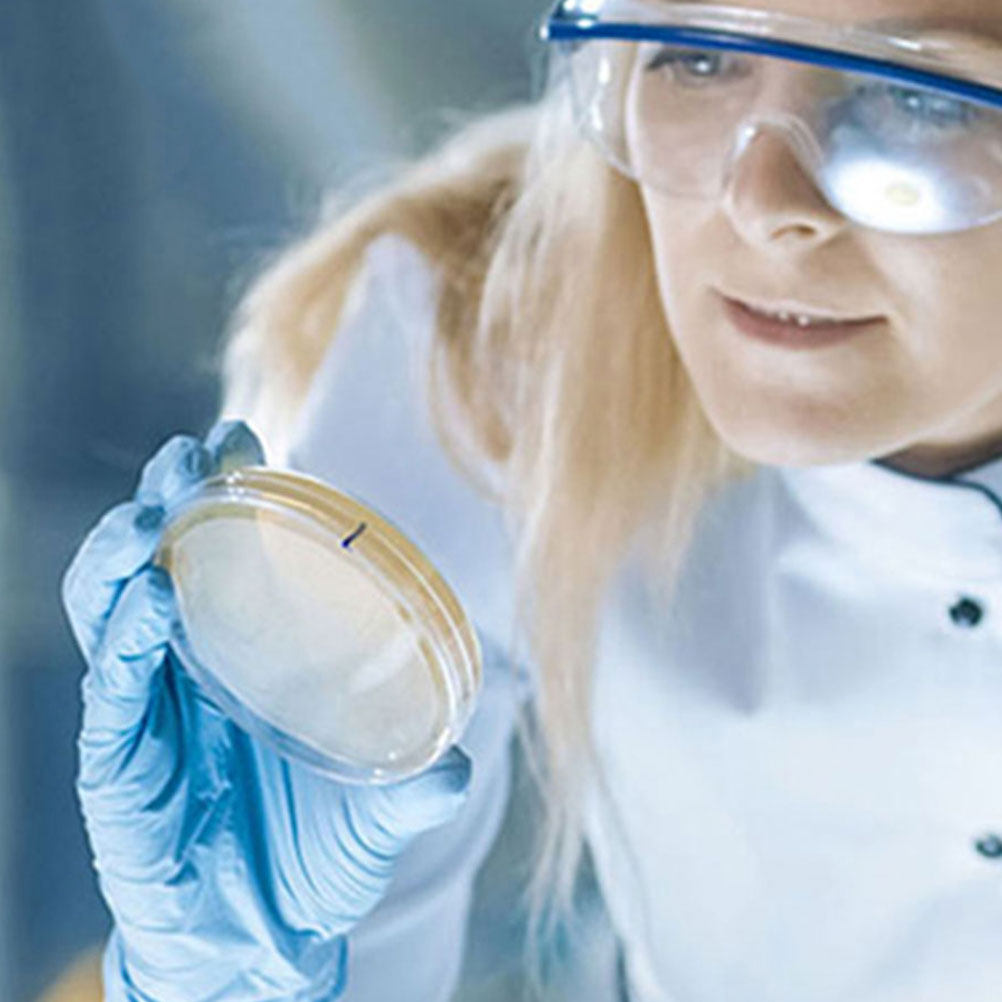 10 Stück Kunststoff-Petrischal – Agar Tissue Culture Bewertung und Preis