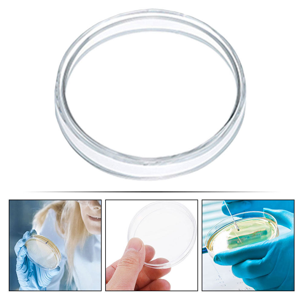 10 Stück Kunststoff-Petrischal – Agar Tissue Culture Bewertung und Preis