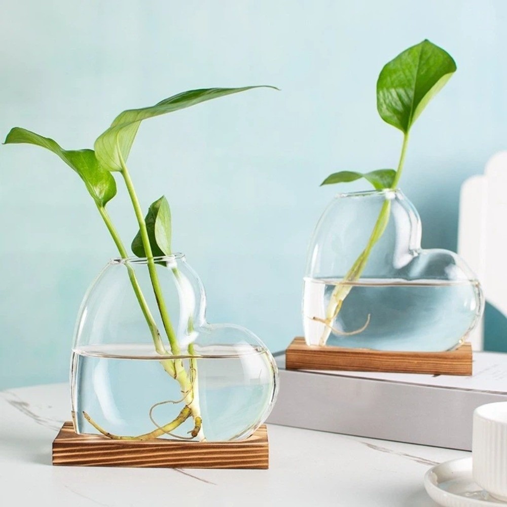 Transparente Hydroponische Gla – Propagation Station Vase Bewertung und Preis