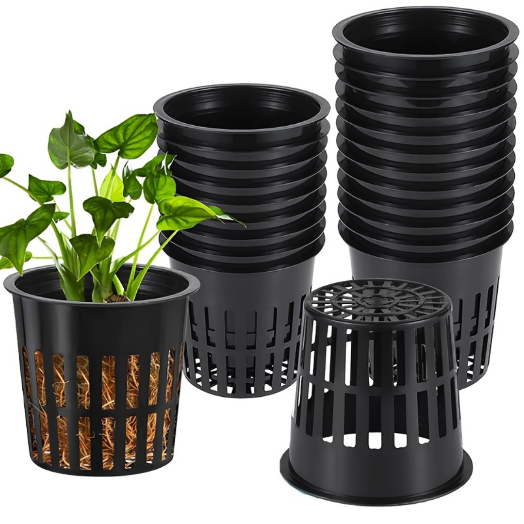 50 Stück wiederverwendbare Hyd – Rooting Gel Clone Bewertung und Preis