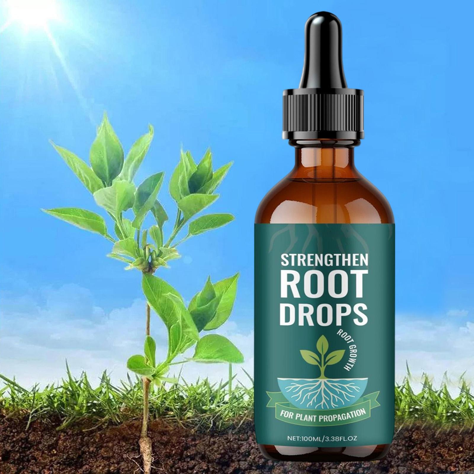 100 ml Pflanzenwurzel-Flüssigk – Root Stimulator Liquid Bewertung und Preis