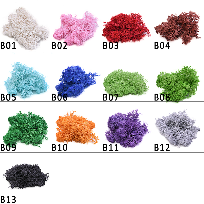 20-40g Künstliche Natürliche P – Sphagnum Moss Dry Bewertung und Preis